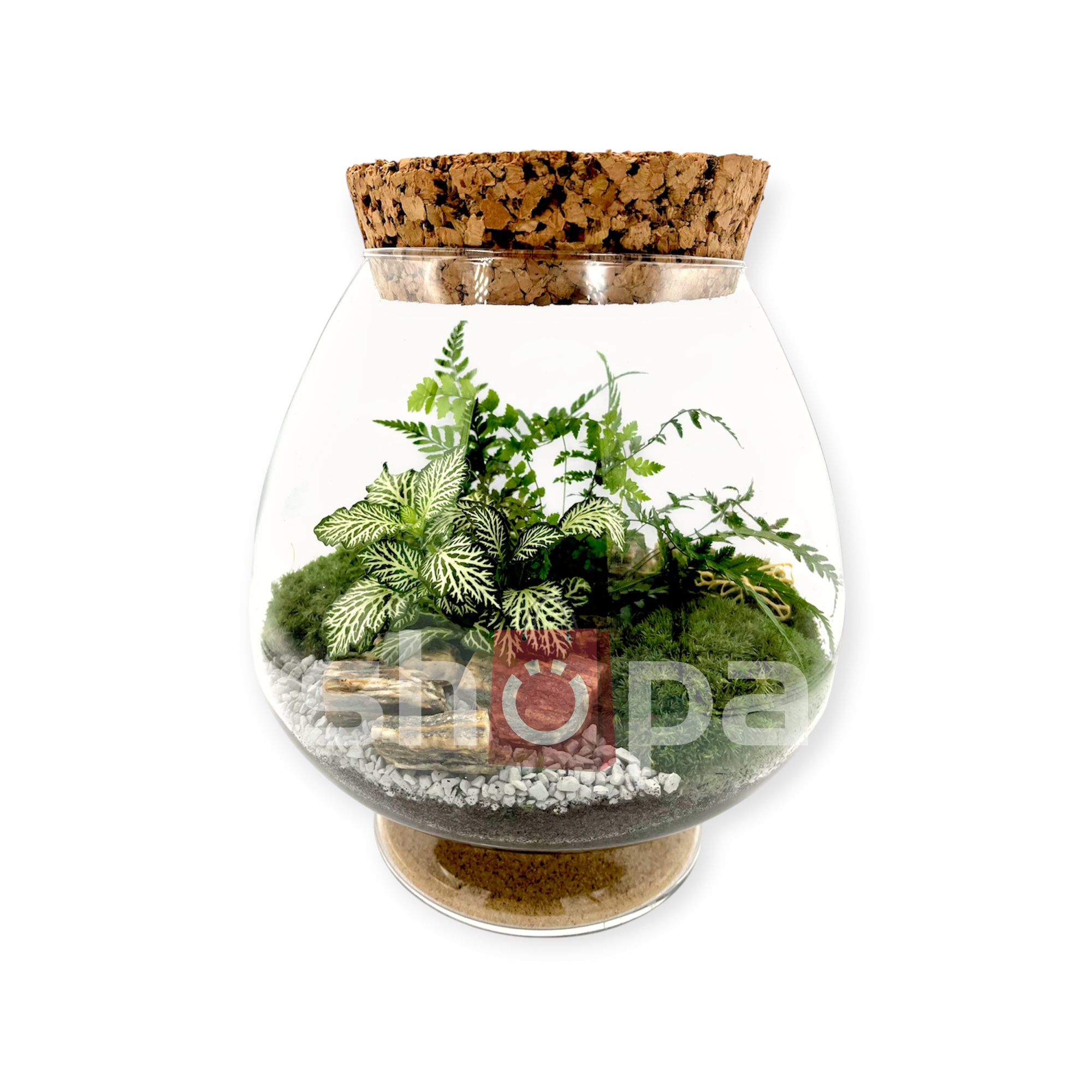 Číše s mechem a rostlinami uzavřená