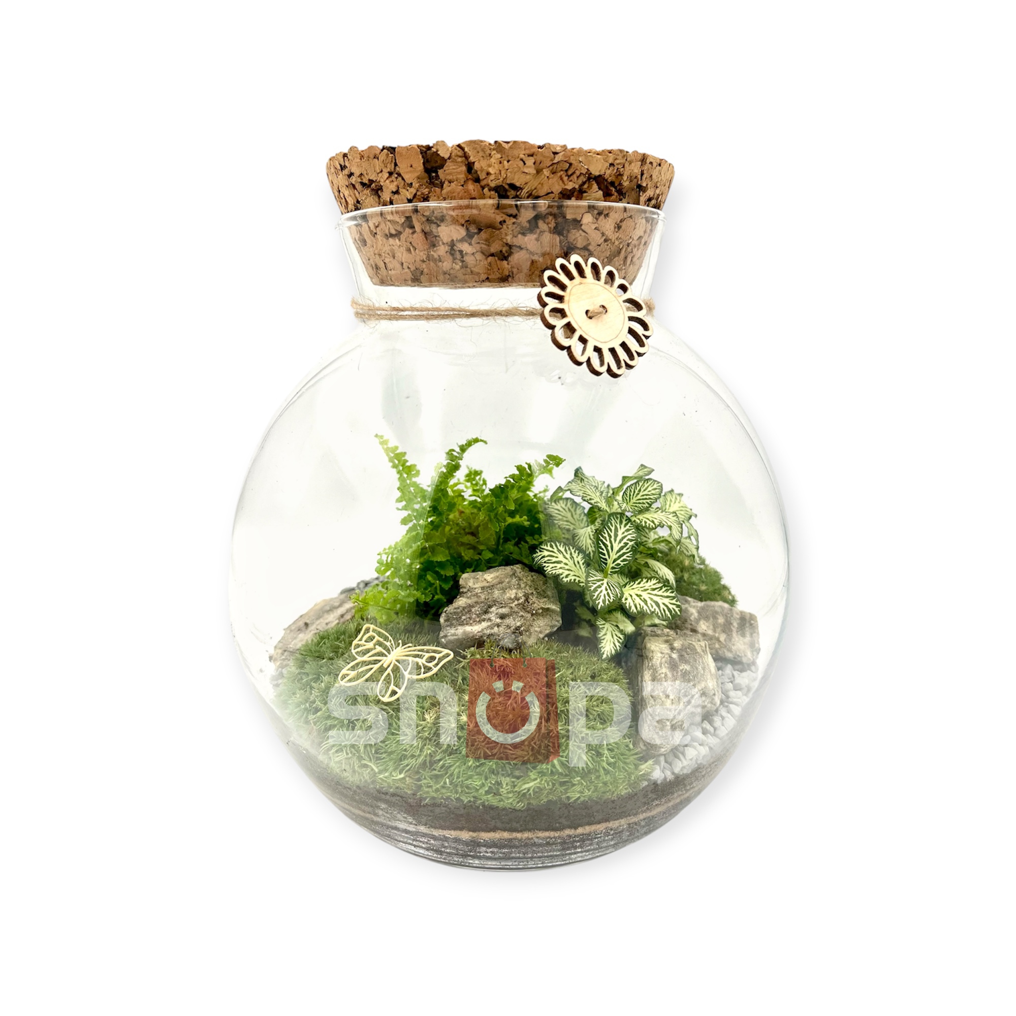 Koule s mechem a rostlinami uzavřená