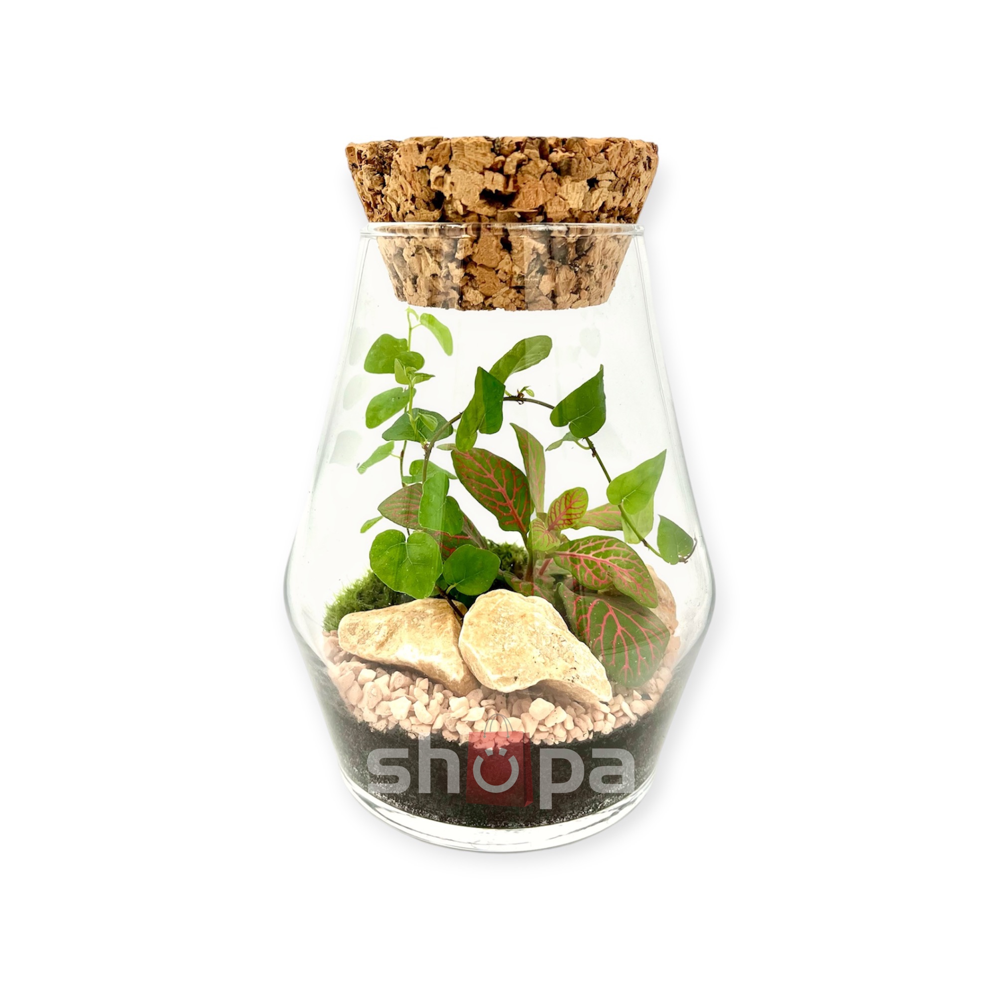 Malá karafa s rostlinami uzavřená